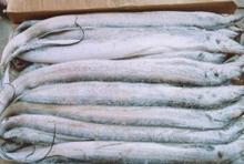 點(diǎn)擊查看商品:冷凍帶魚(yú)